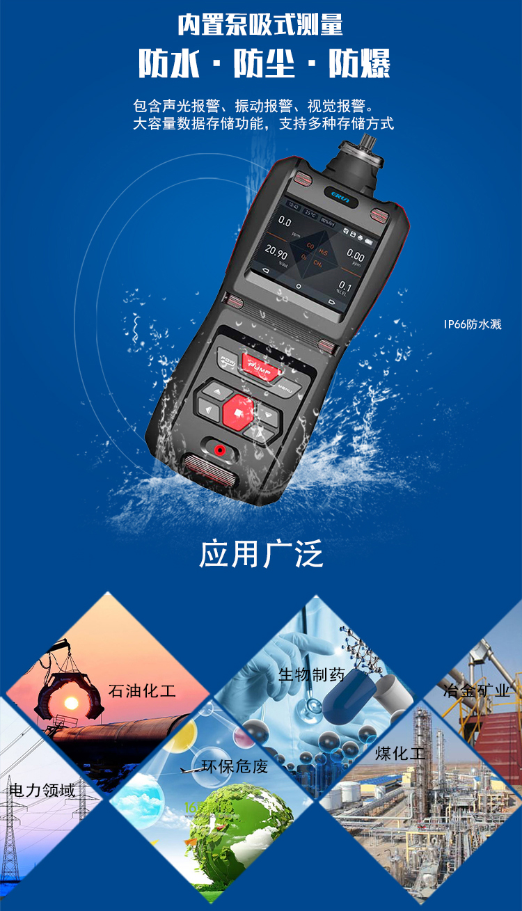 便携泵吸式壬烷气体检测报警仪